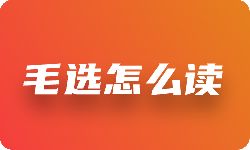 毛选怎么读-以《井冈山的斗争》为例